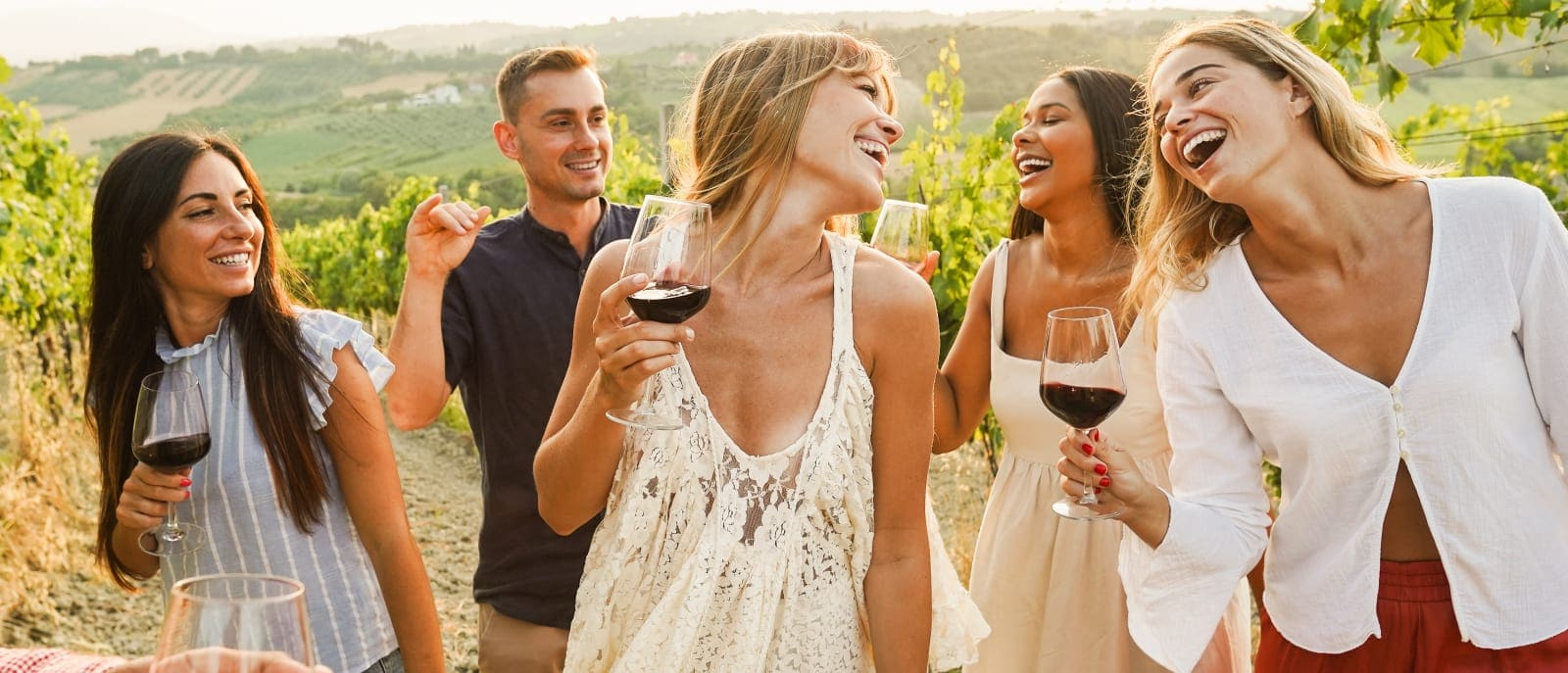 Vinos naturales del Valle de Itata y Bío Bío, Chile · Cepas patrimoniales de 200+ años